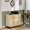 Wood Rattan 2 Drawer Lateral File Cabinet with Lock for Home Office