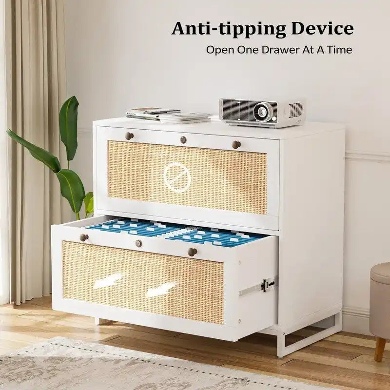 Lateral 2 Drawer Wood Rattan File Cabinet with Lock for Home Office